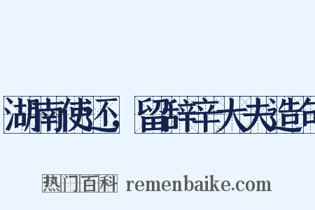 湖南使还，留辞辛大夫造句是什么意思的图片